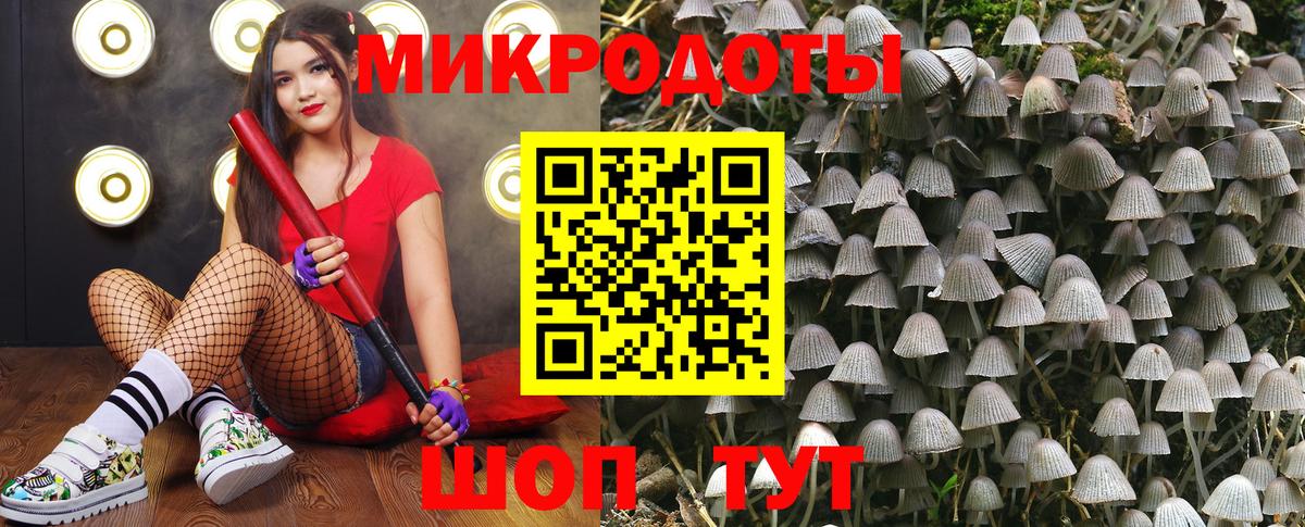 Псилоцибиновые грибы прущие грибы Череповец